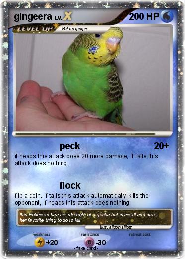 Pokemon gingeera