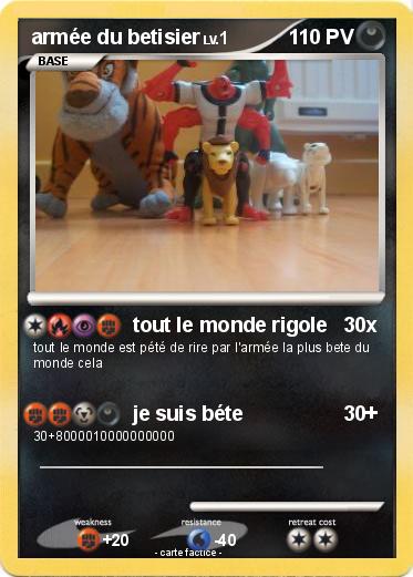 Pokemon armée du betisier