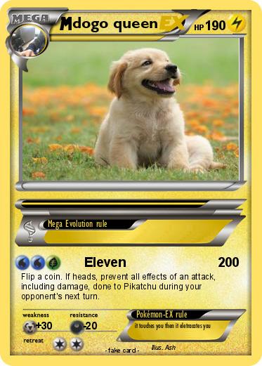 Pokemon dogo queen