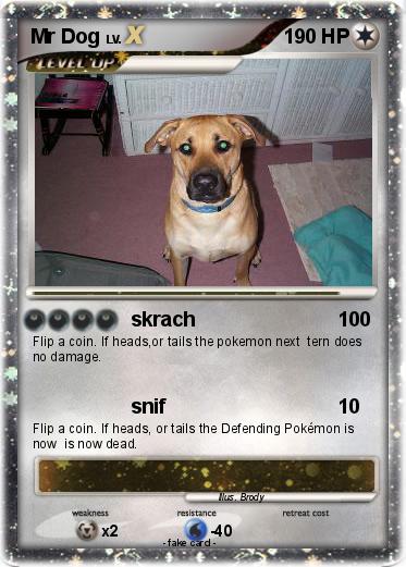 Pokemon Mr Dog