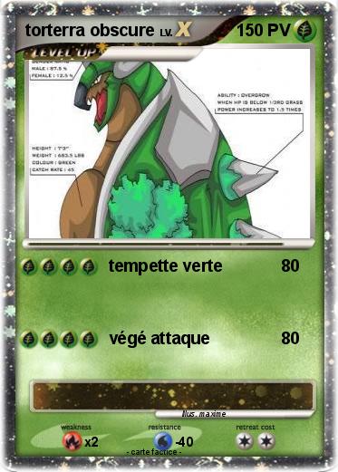 Pokemon torterra obscure