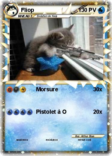 Pokemon Fliop