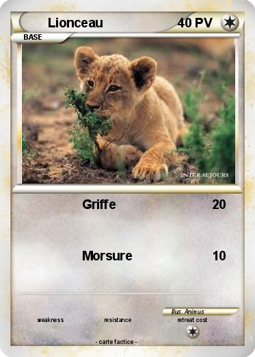 Pokemon Lionceau