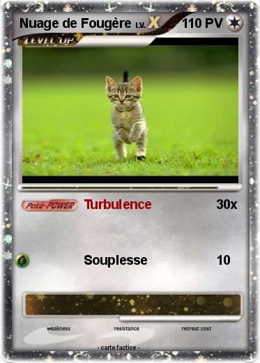 Pokemon Nuage de Fougère