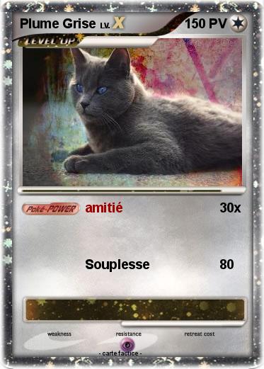 Pokemon Plume Grise