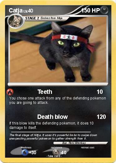 Pokemon Catja