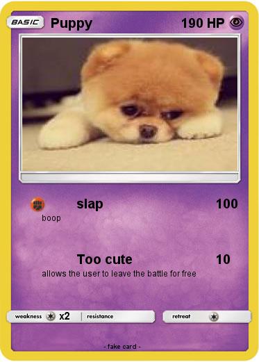 Pokemon Puppy