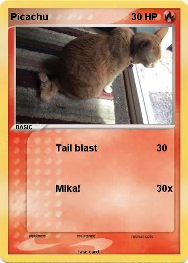 Pokemon Picachu