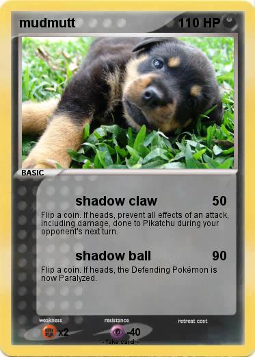 Pokemon mudmutt