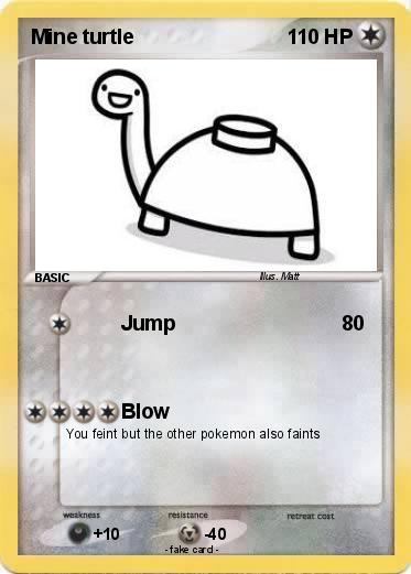Pokemon Mine turtle