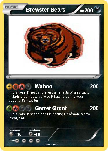 Pokemon Brewster Bears