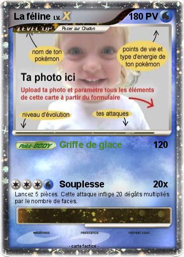 Pokemon La féline