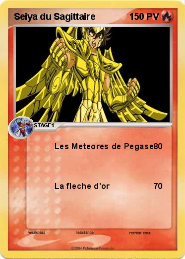 Pokemon Seiya du Sagittaire