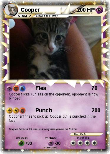 Pokemon Cooper