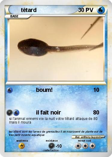 Pokemon têtard