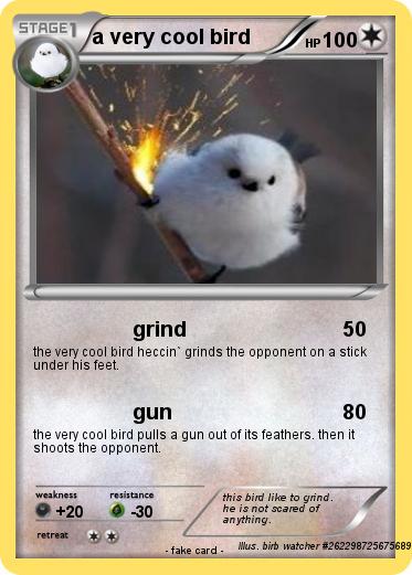 Pokemon a very cool bird