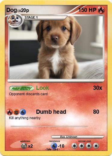 Pokemon Dog