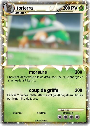 Pokemon torterra