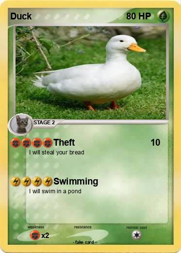 Pokemon Duck