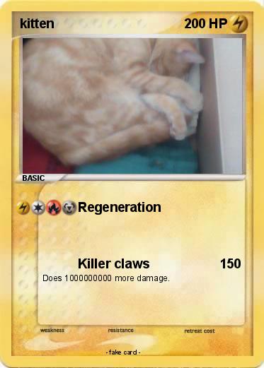 Pokemon kitten