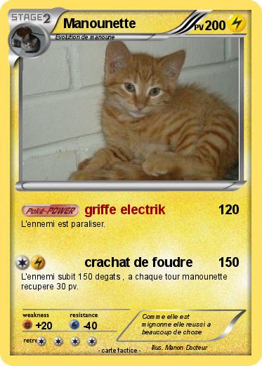 Pokemon Manounette
