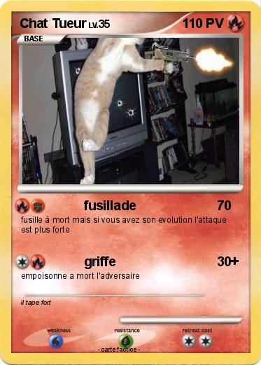 Pokemon Chat Tueur
