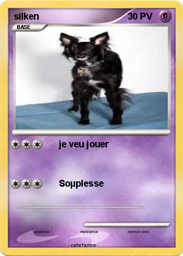 Pokemon silken