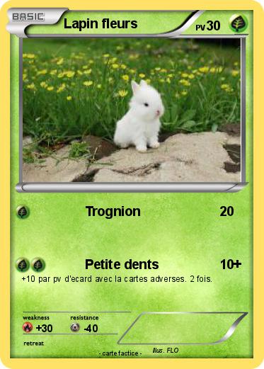 Pokemon Lapin fleurs