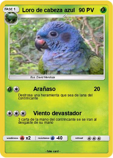 Pokemon Loro de cabeza azul
