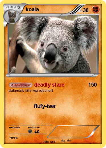 Pokemon koala