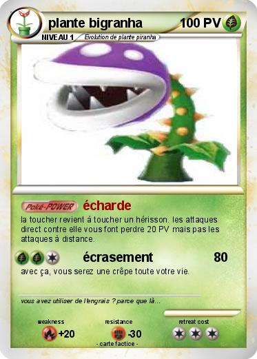 Pokemon plante bigranha