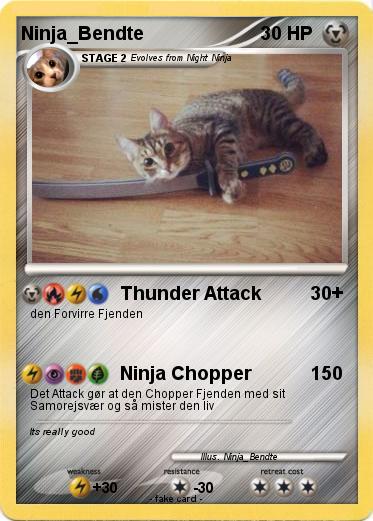 Pokemon Ninja_Bendte