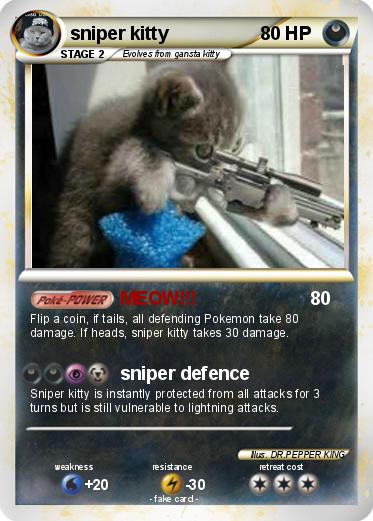 Pokemon sniper kitty
