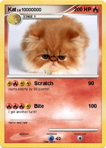 Pokemon Kat