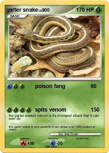 Pokemon garter snake