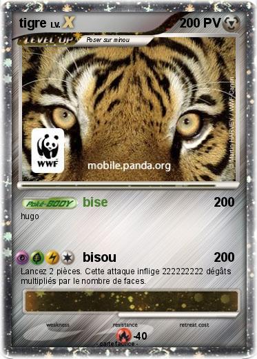 Pokemon tigre