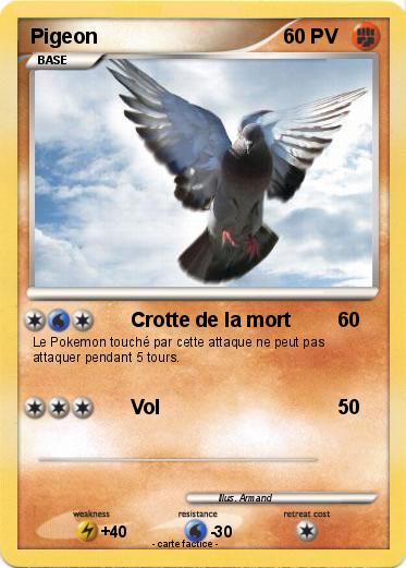 Pokemon Pigeon