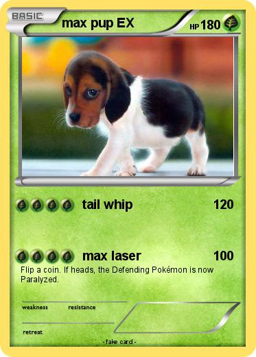 Pokemon max pup EX
