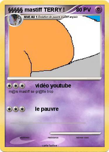 Pokemon §§§§§ mastiff TERRY !