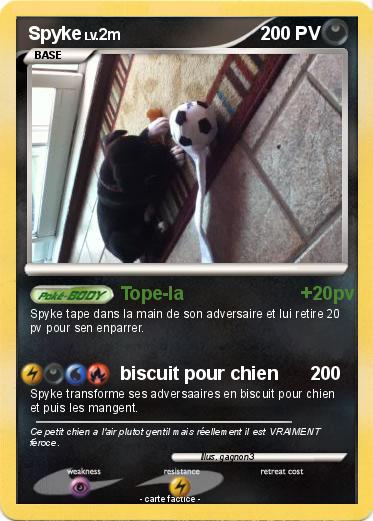 Pokemon Spyke