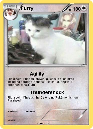 Pokemon Furry