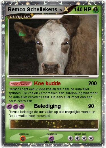 Pokemon Remco Schellekens