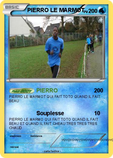 Pokemon PIERRO LE MARMOT