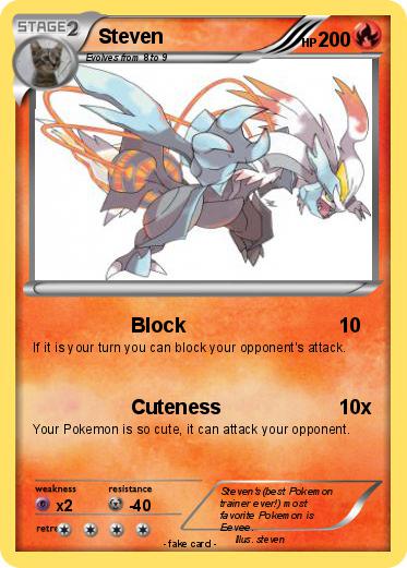 Pokemon Steven