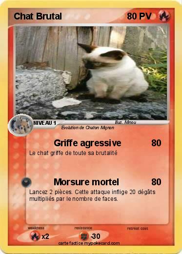 Pokemon Chat Brutal