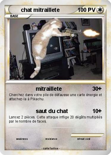 Pokemon chat mitraillete