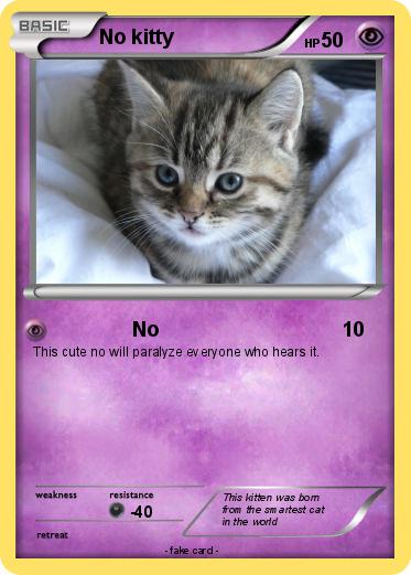 Pokemon No kitty