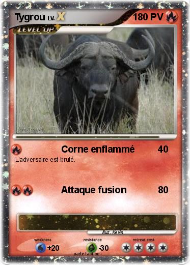 Pokemon Tygrou