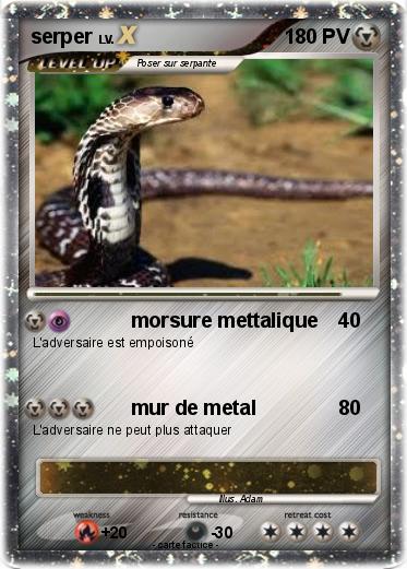 Pokemon serper