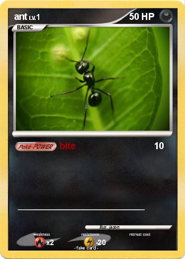 Pokemon ant